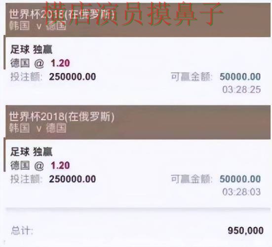 世界杯买球平台汇总：访问方式+直播全指南 - 世界杯高清直播